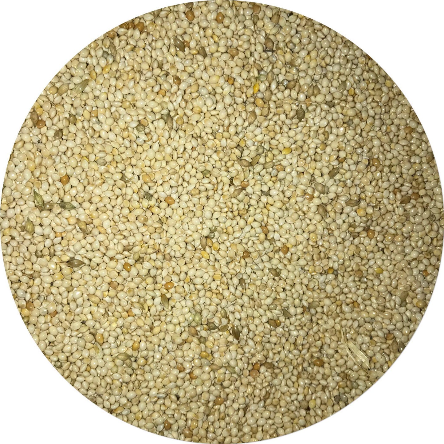 White French Millet