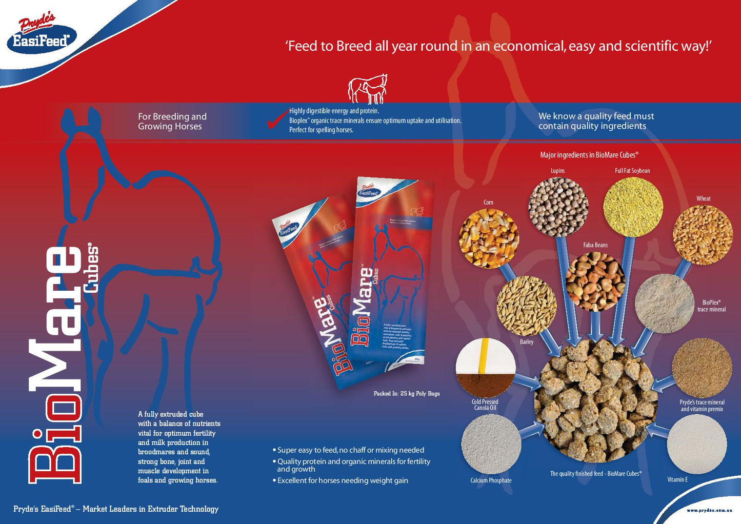 Prydes Bio-Mare Cubes 20kg