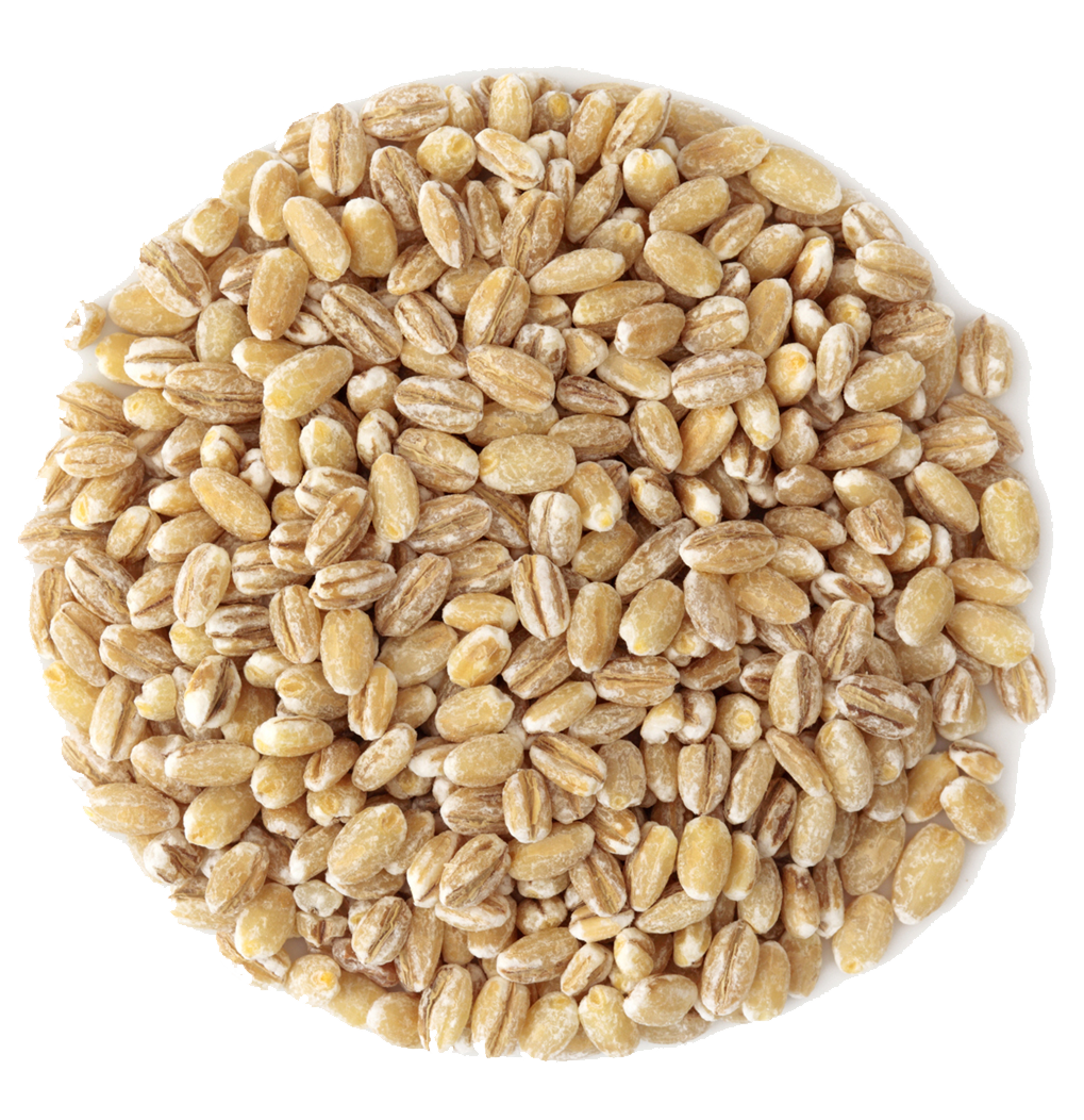 Grain/Bird Mixes