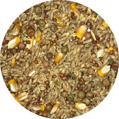 Pigeon Mix