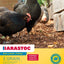 Barastoc 3 Grain 20kg