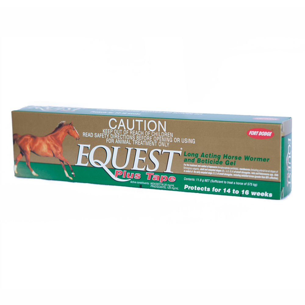 Equest Plus Tape